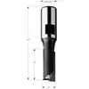CMT Groove Cutter Straight HW Z2 Bottom D10 I23 L60, S= internal M12x1 RH